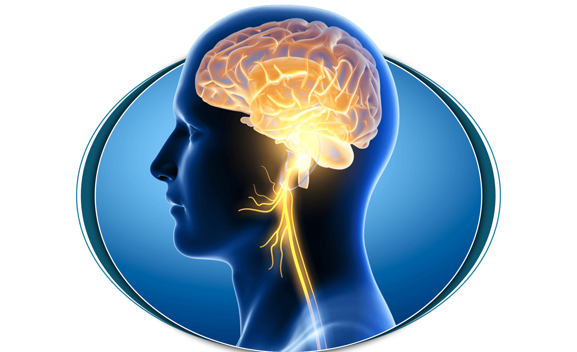 Paralysis Disease