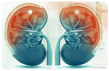 Chronic Kidney Disease (CKD) Diagnosis