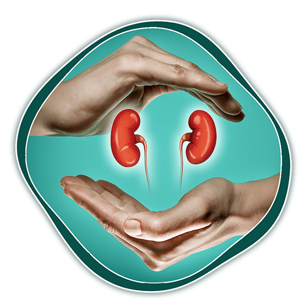 Kidney and Renal Fast Facts