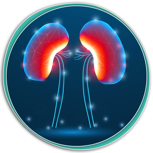 What is Kidney Disease/Renal Disease