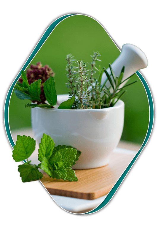 Why Naturopathy (Ayurvedic) Treatment is best for Kidney Disease?