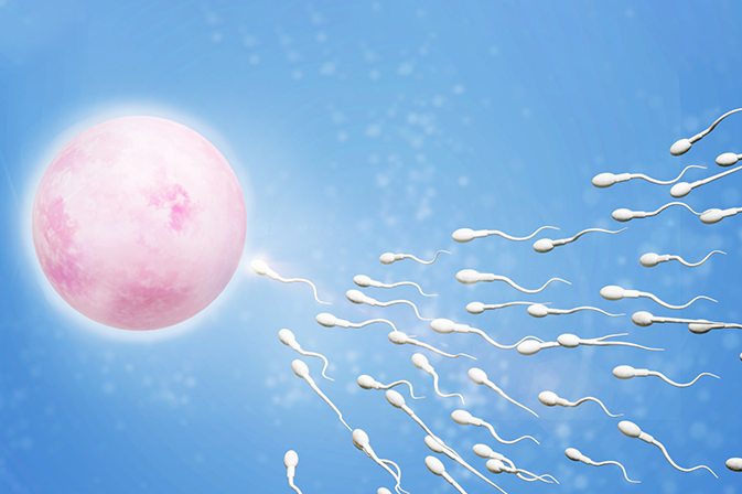 10 Proven Ways to Boost Male Fertility and Increase Sperm Count Naturally